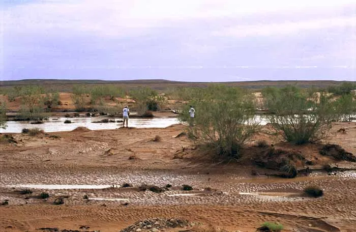 l'oued Tekhammat en furie