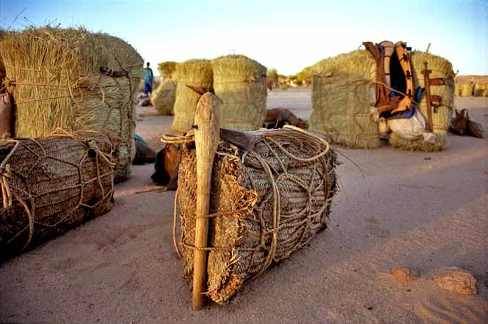 hache à bois, caravanes pour Bilma