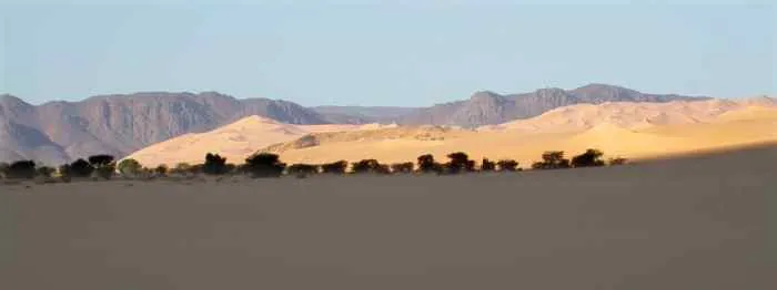 Entrée Sud