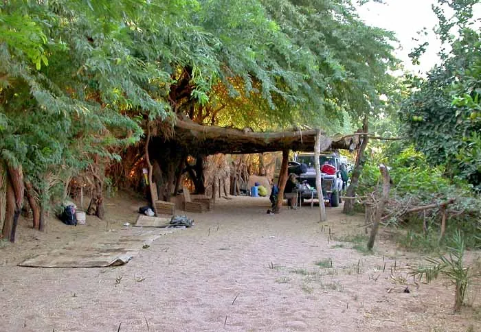 bivouac dans un jardin