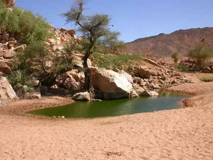 Tafadek