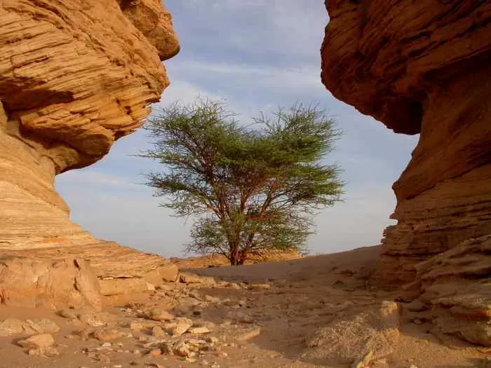 bivouac à 30km de Chirfa