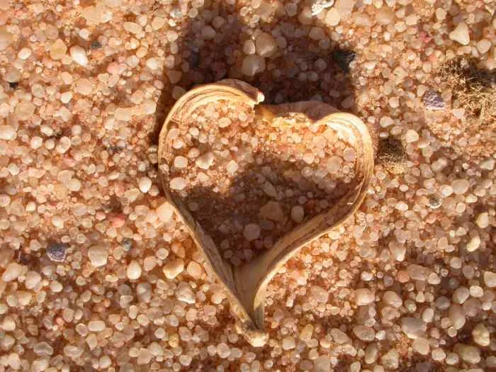 un brin de tendresse dans un monde un peu brut