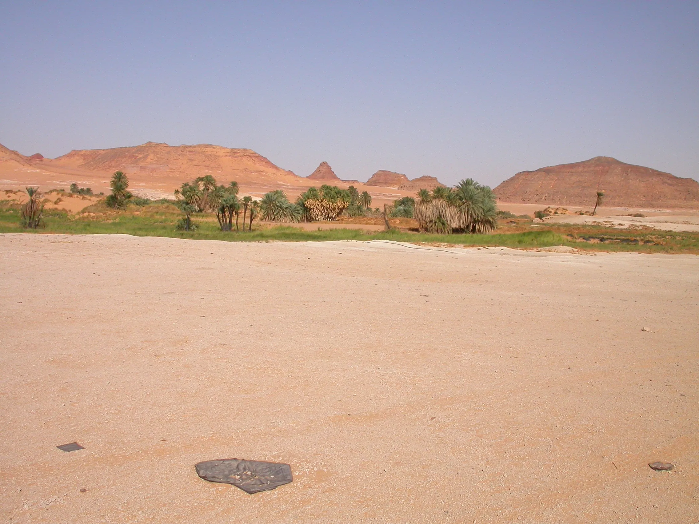 Oasis de Sélima, Soudan Nord