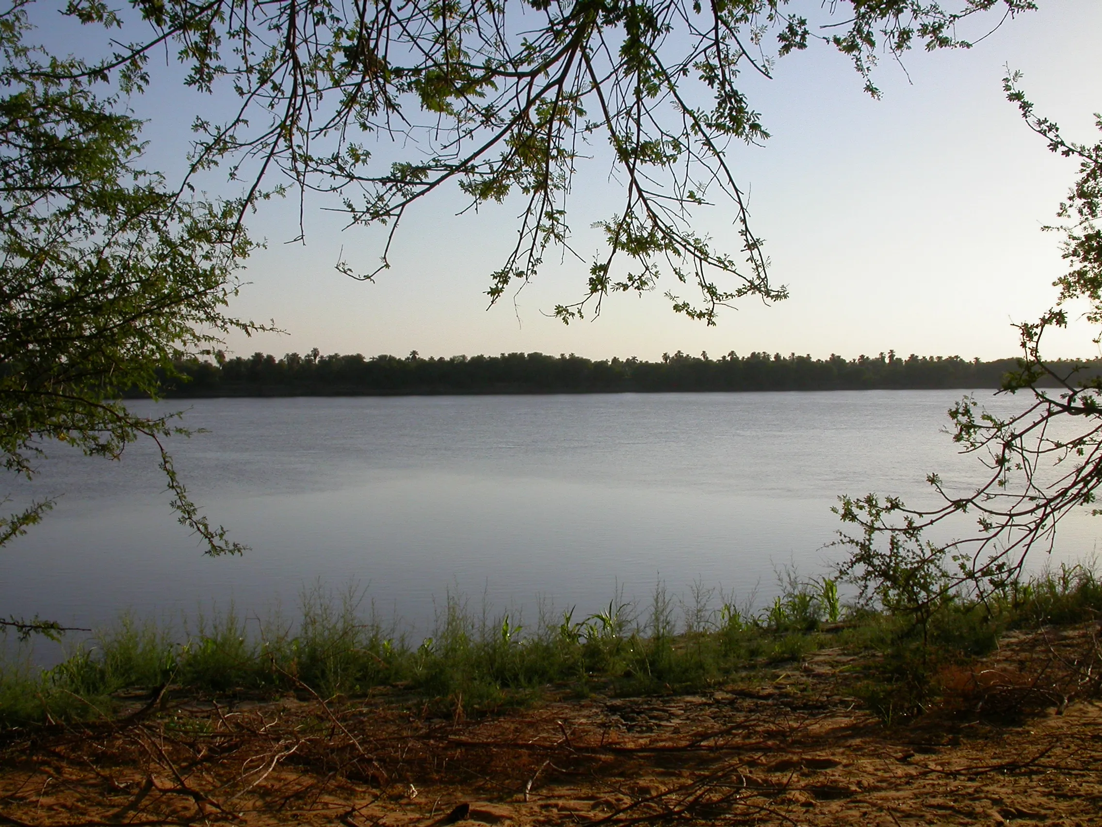 berges du Nil vers Old Dongola, haute Nubie, Soudan