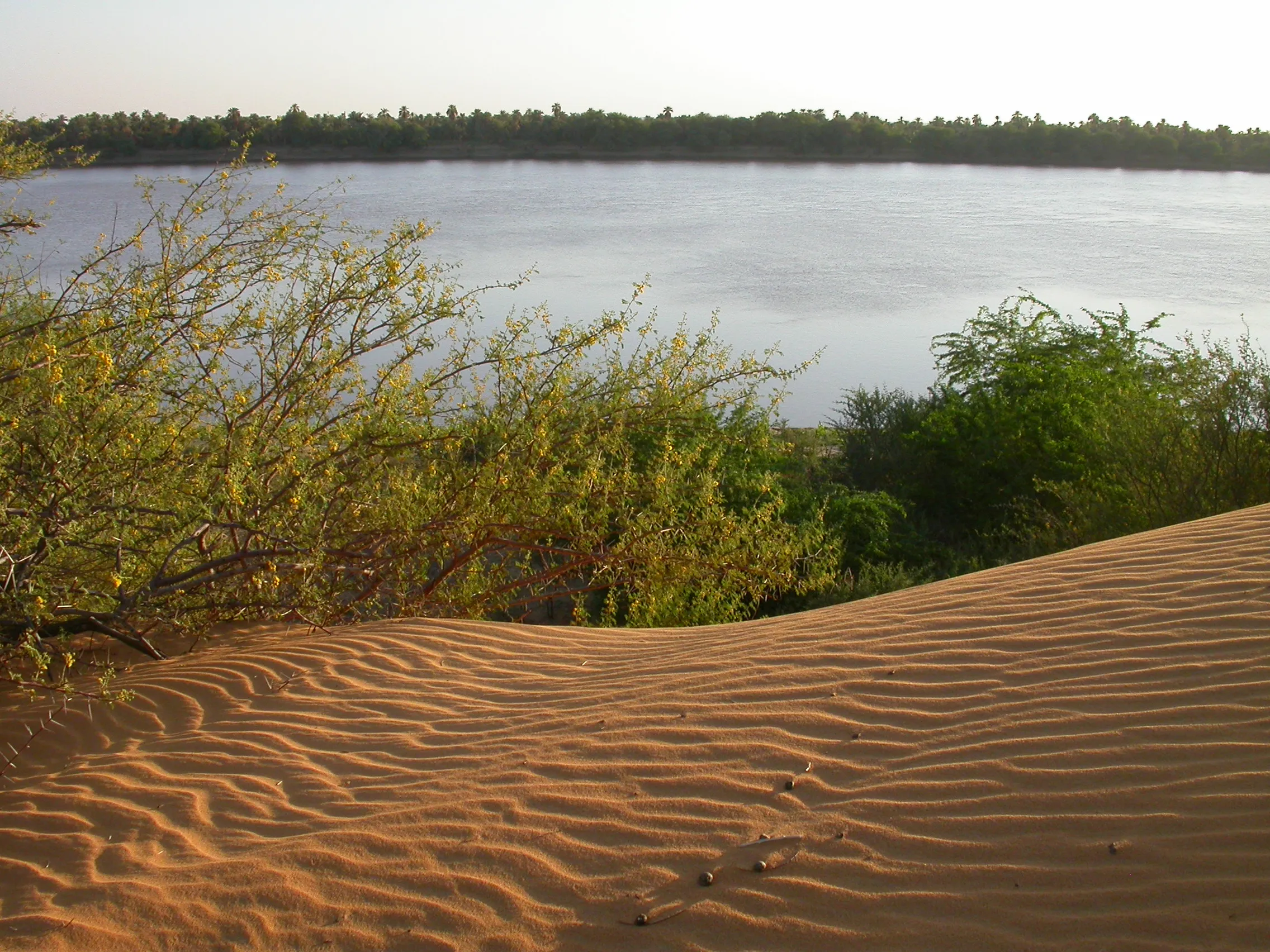 berges du Nil vers Old Dongola, haute Nubie, Soudan