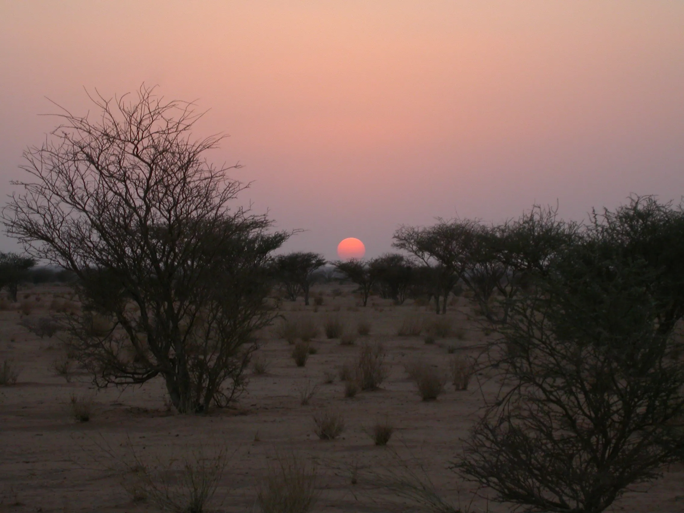 bivouac vers Mussarawat, Soudan