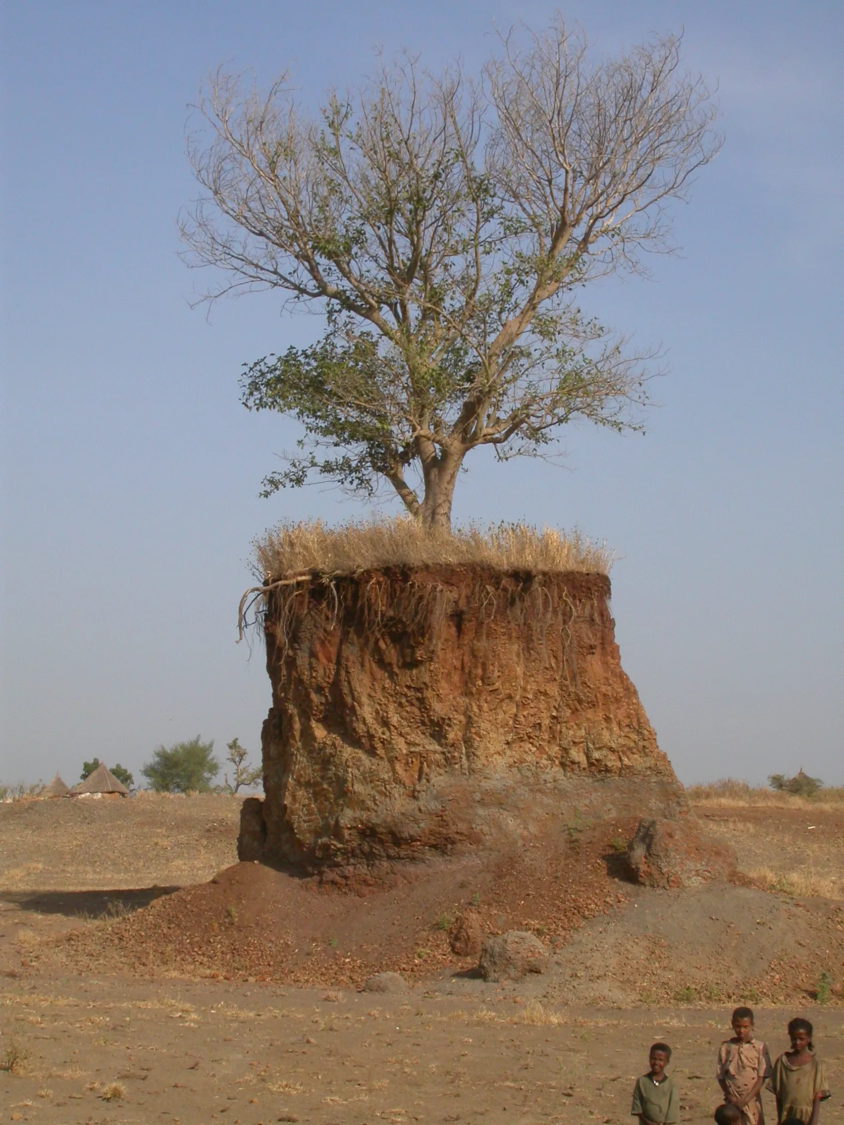 vers Wehni, Ethiopie