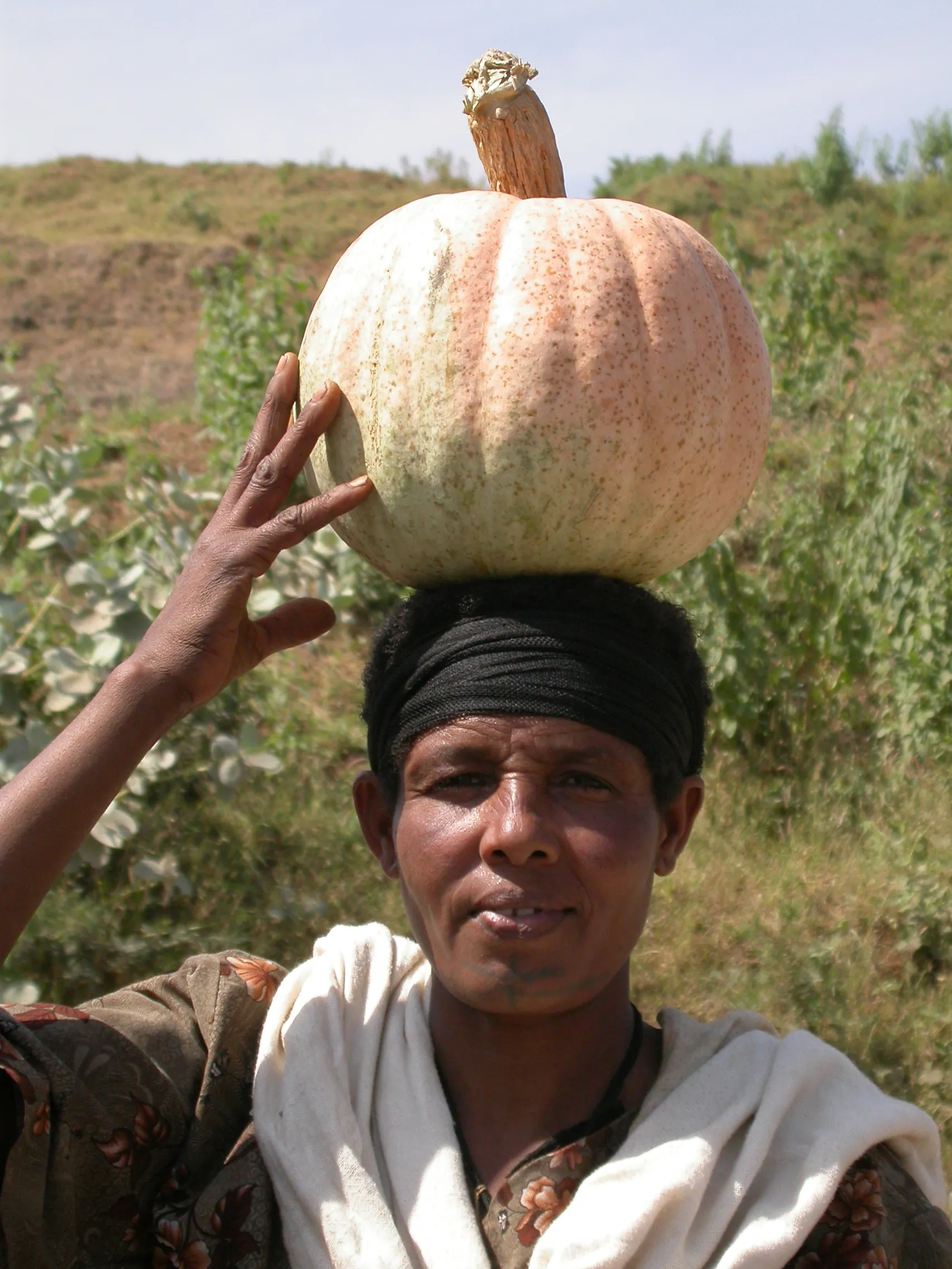 entre Wehni et Aykel, Ethiopie