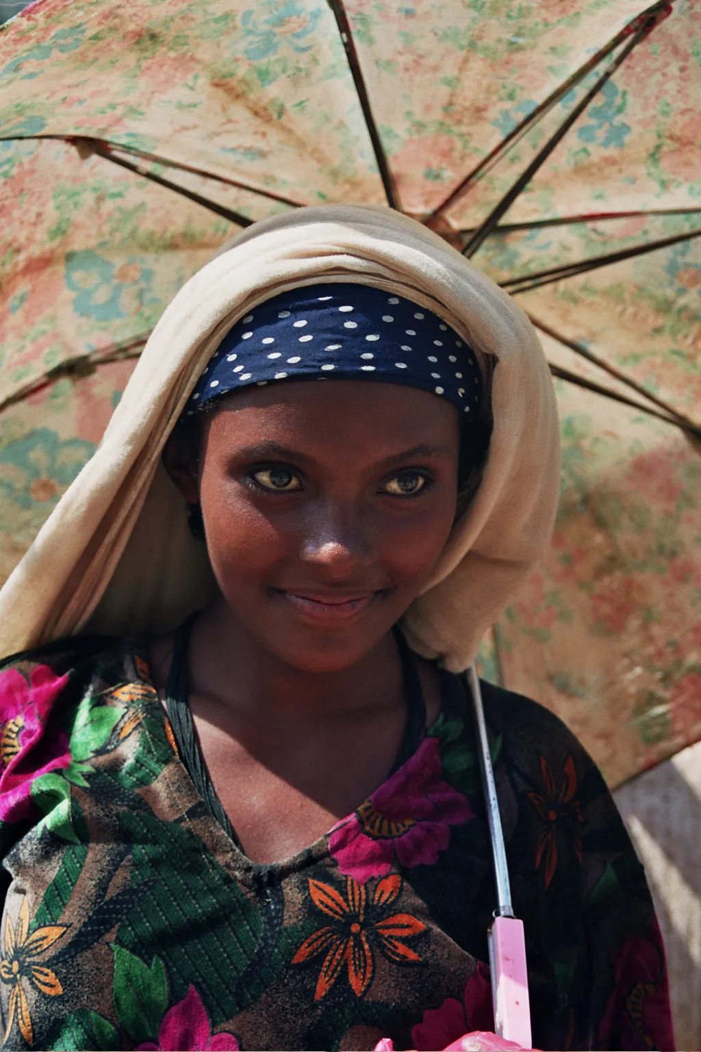 champ de teff, vers Aykel, Ethiopie