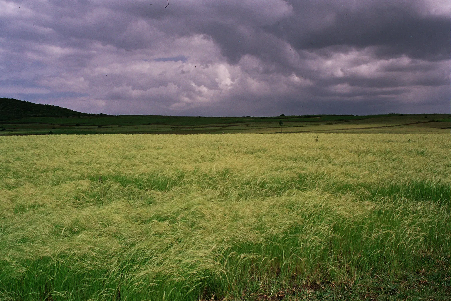 vers Aykel, Ethiopie
