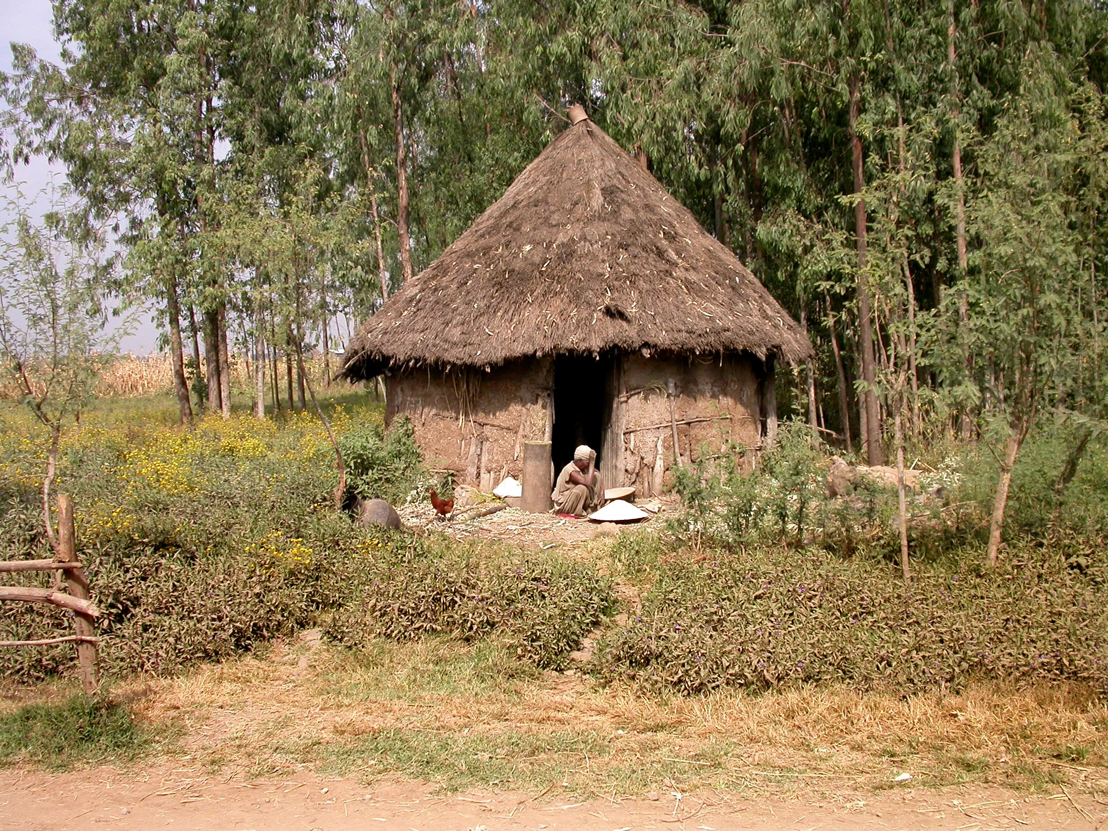 après Werota, Amhara, Ethiopie