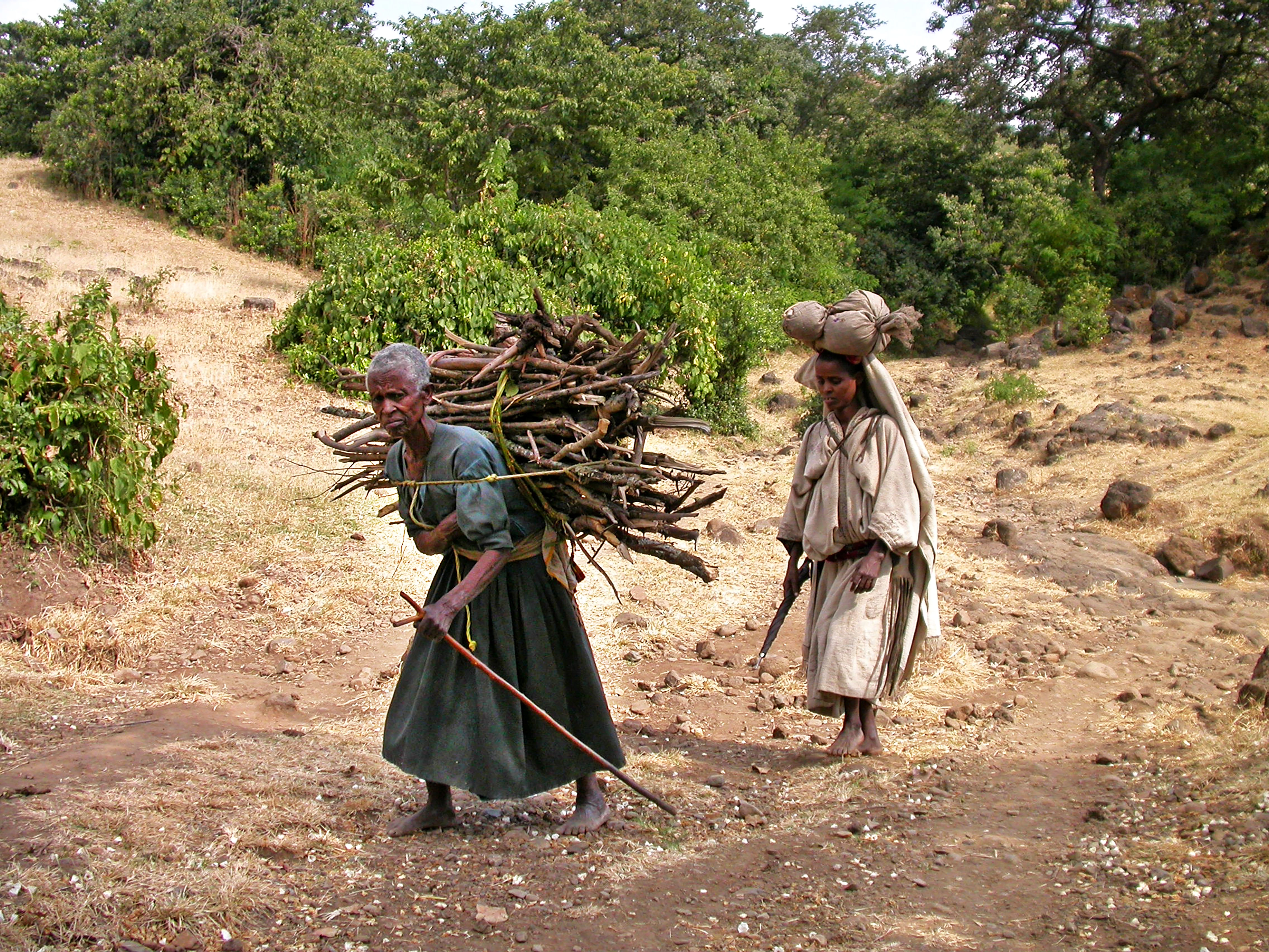 machande de souvenirs, Tississat, Ethiopie