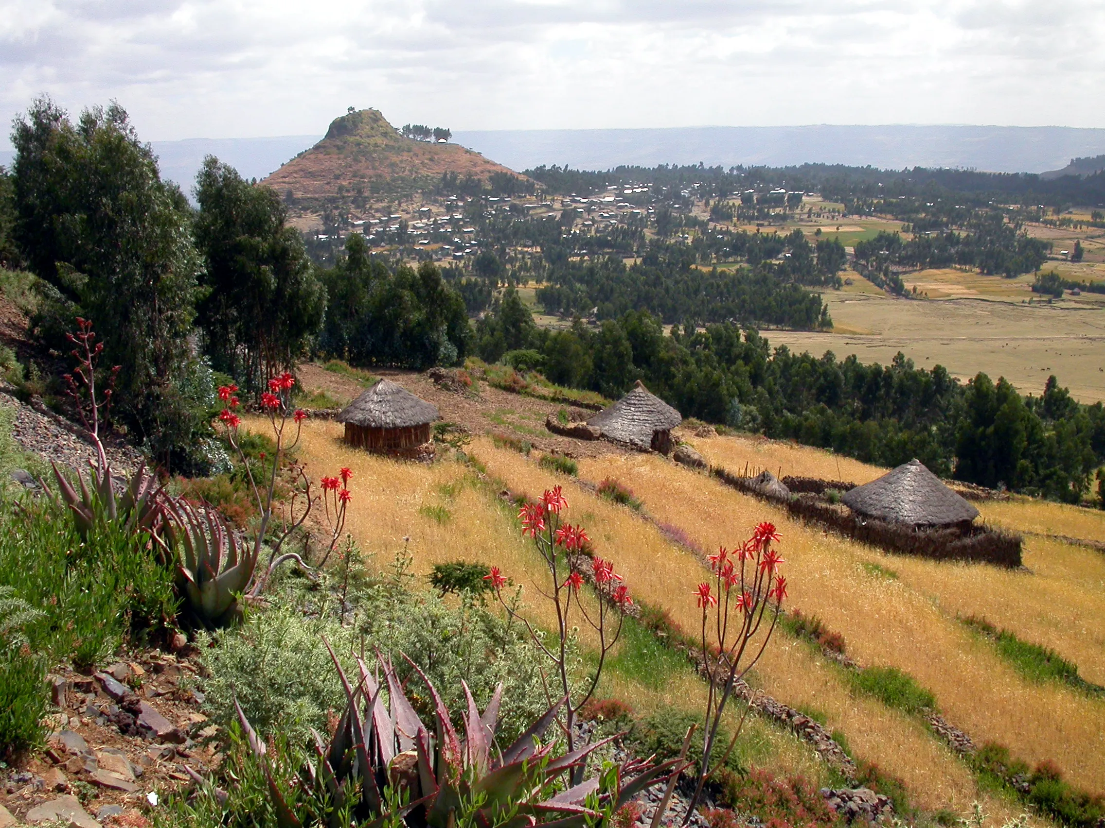 Debré Zebit, Ethiopie