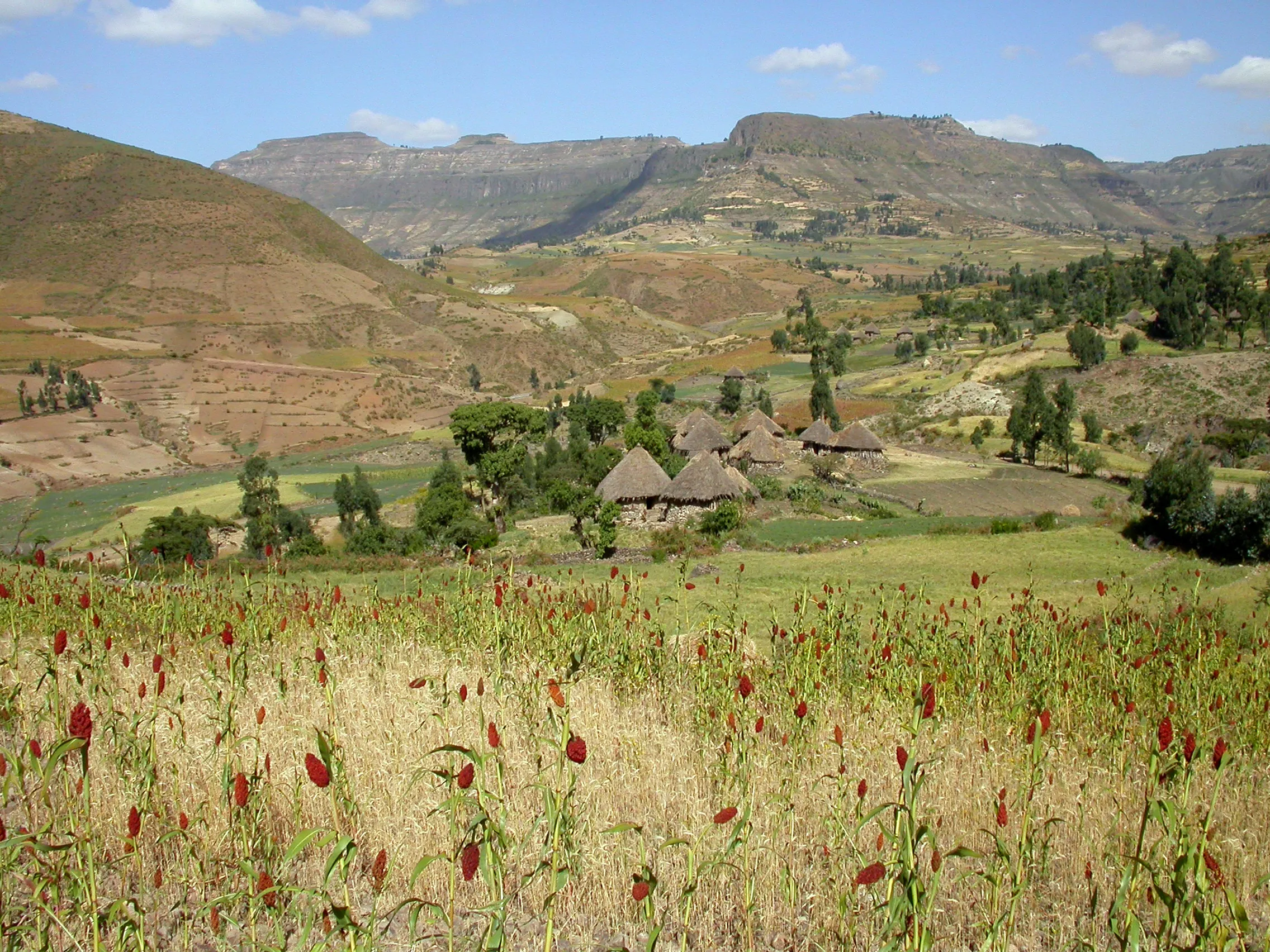 Vallée du Tekkezé, vers Lalibela, Ethiopie