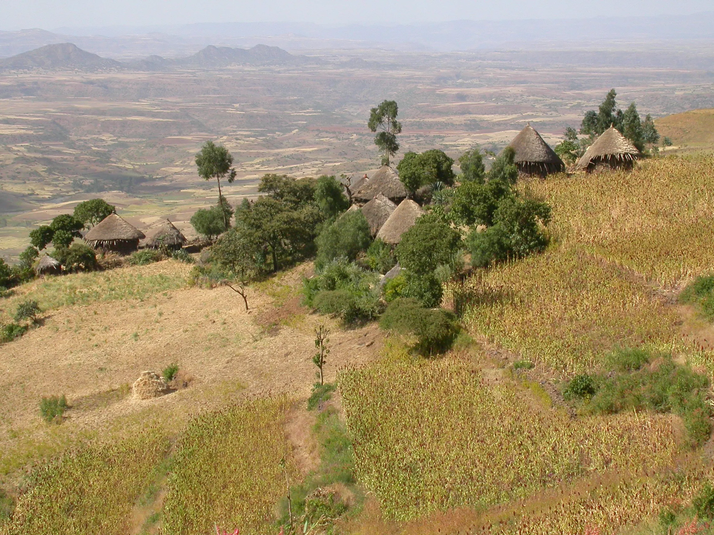 Vallée du Tekkezé, vers Lalibela, Ethiopie