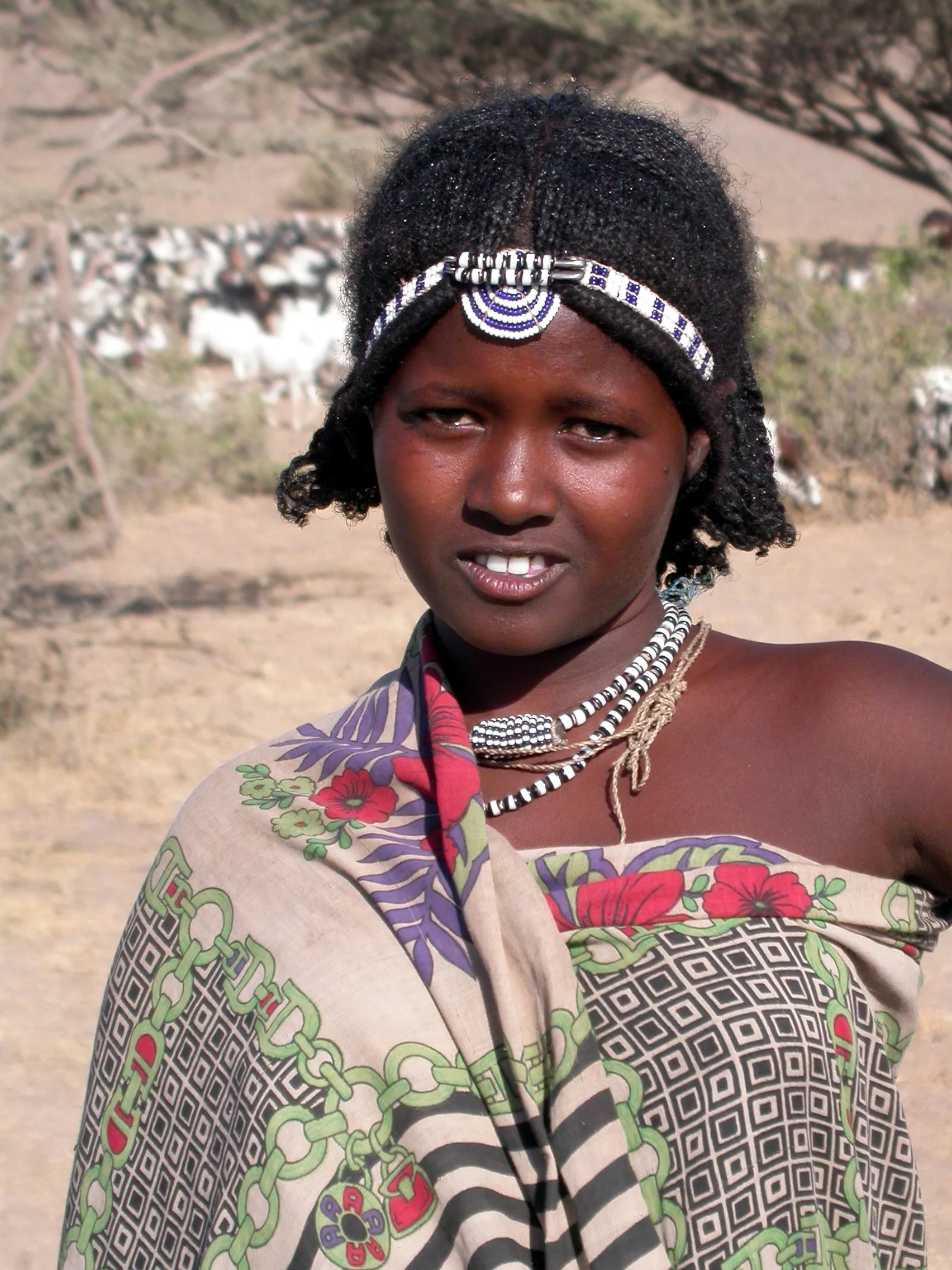 jeune Afar, vers Asayita, Ethiopie
