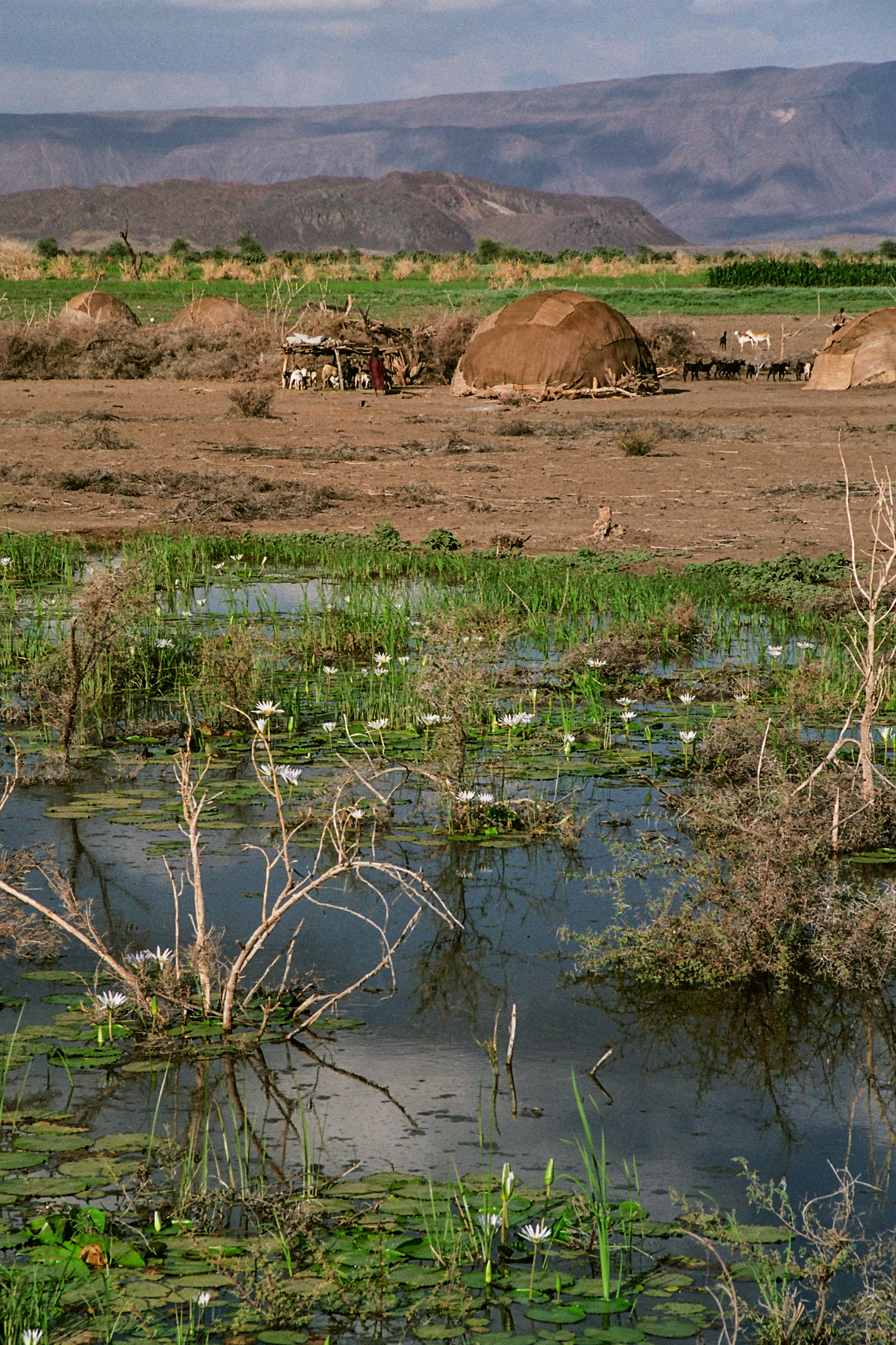 Afar en arme, vers Asayita, Ethiopie