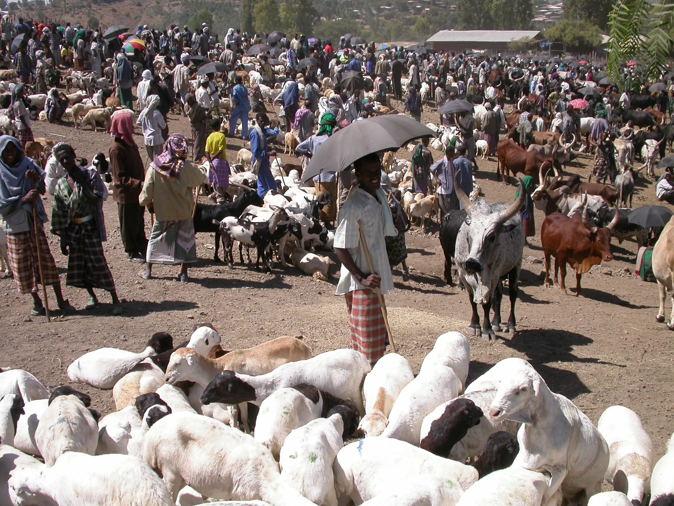marché de Bati, Ethiopie
