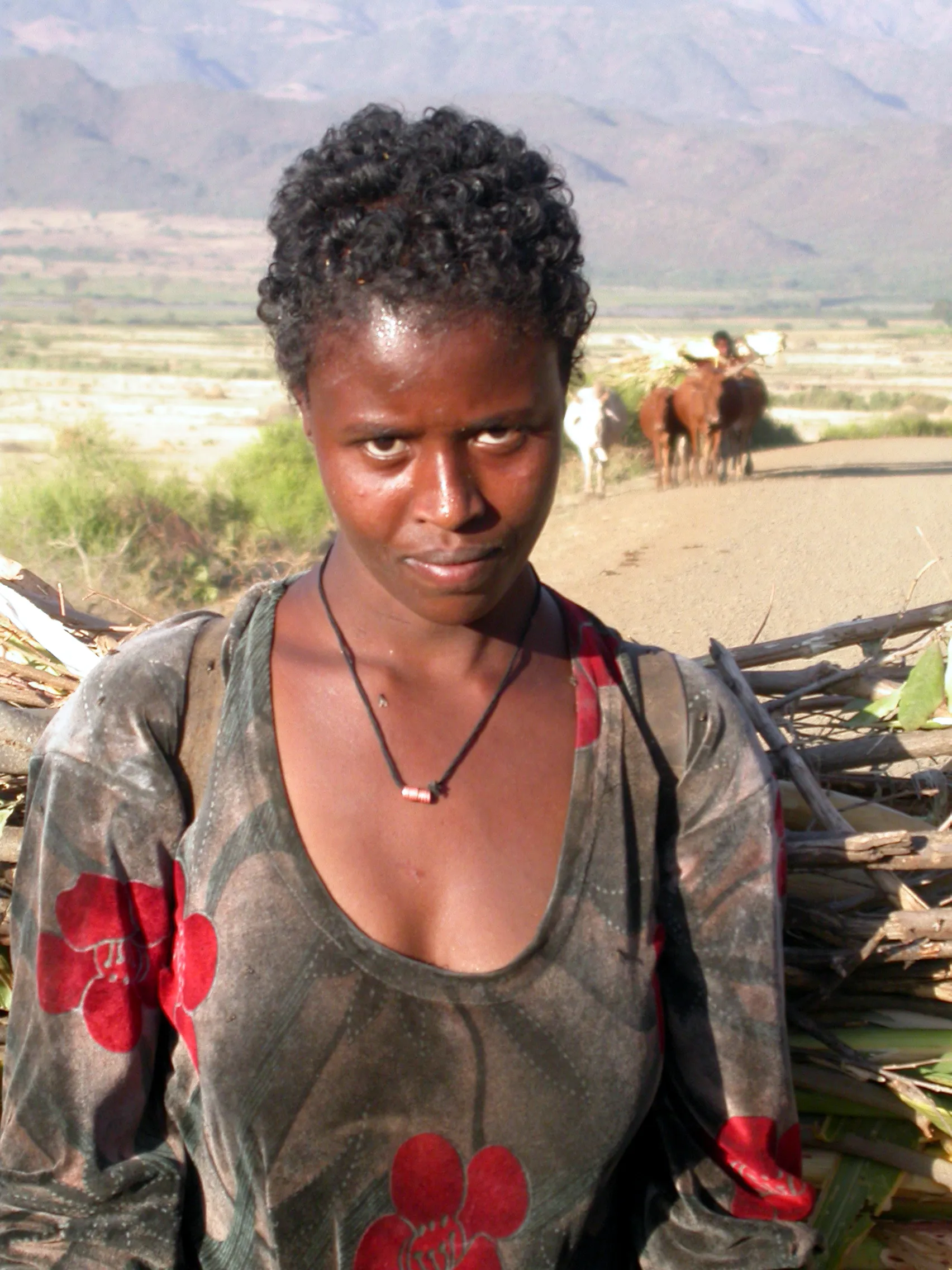 entre Chifra et Weldiya, Ethiopie