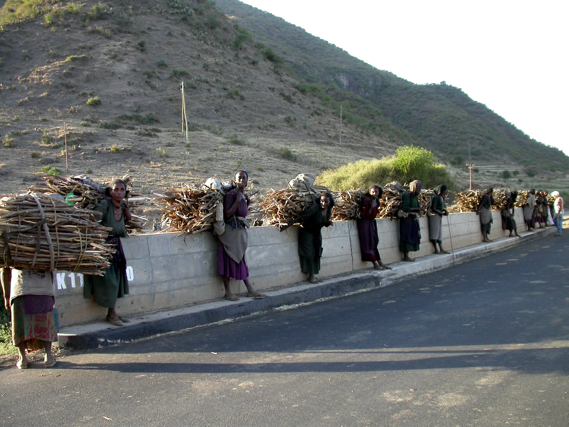 corvée de bois, entre Chifra et Weldiya, Ethiopie