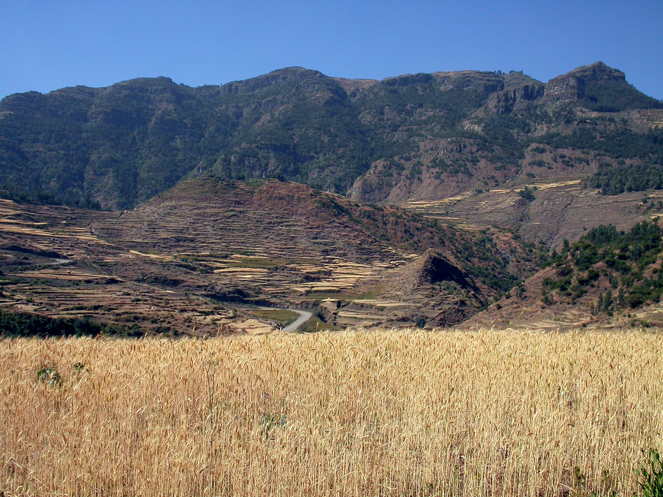 vers Korem, Tigray, Ethiopie
