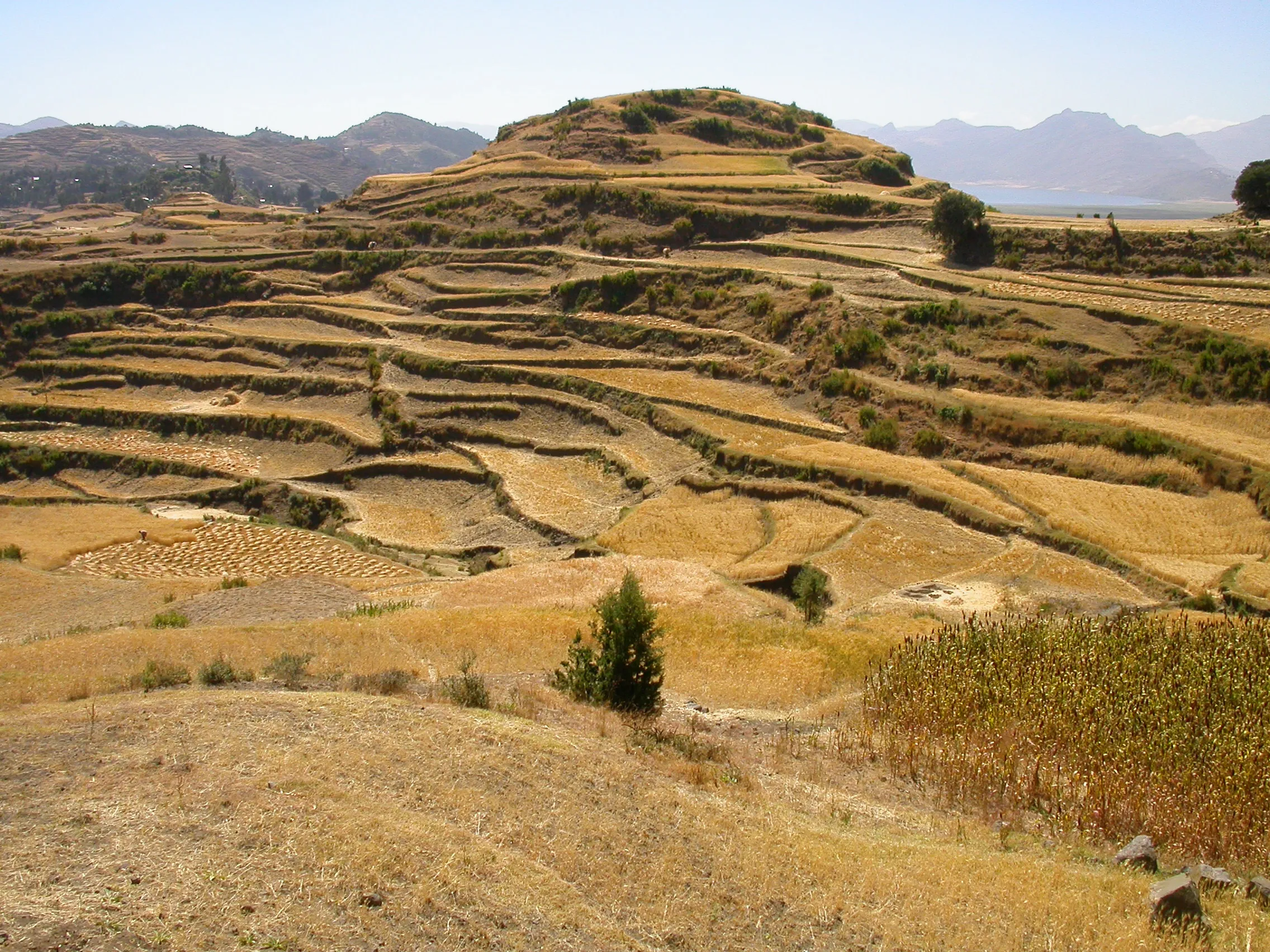 vers Maychew, Tigray, Ethiopie