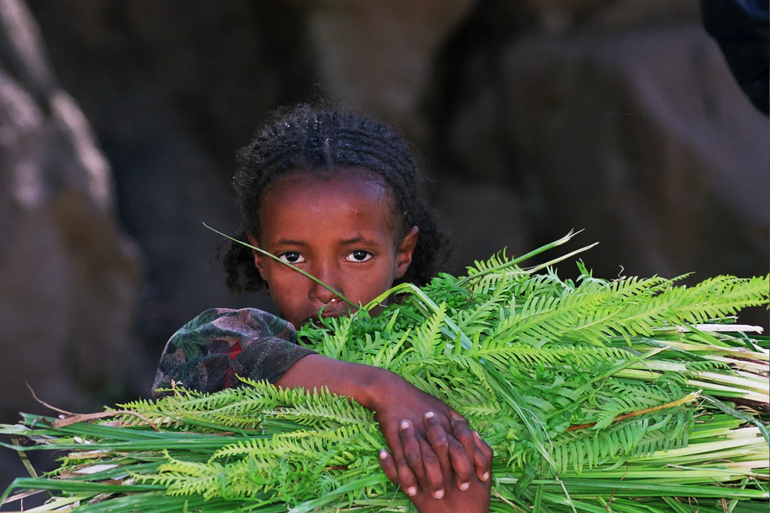 vers Maychew, Tigray, Ethiopie