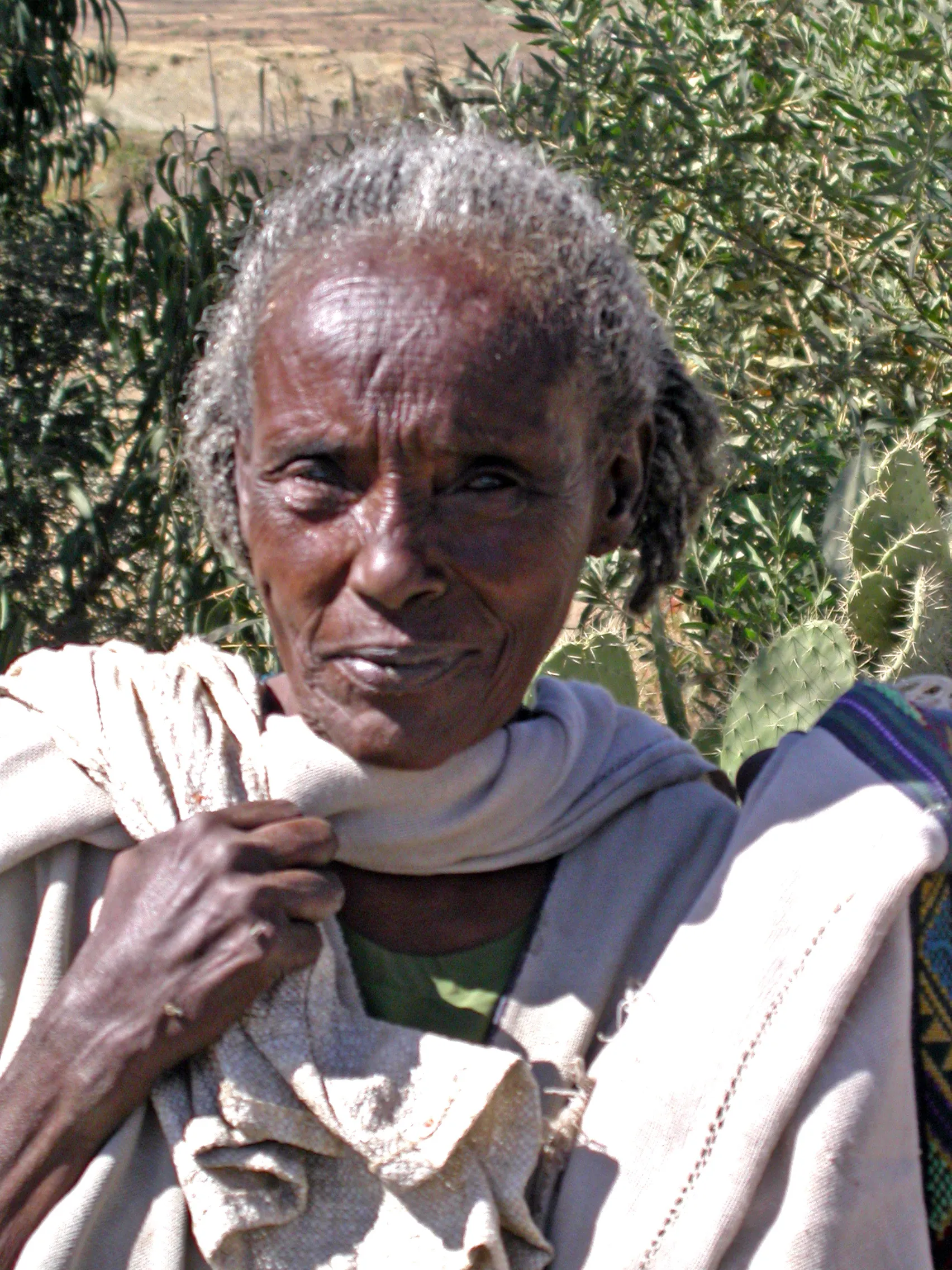vers Maychew, Tigray, Ethiopie