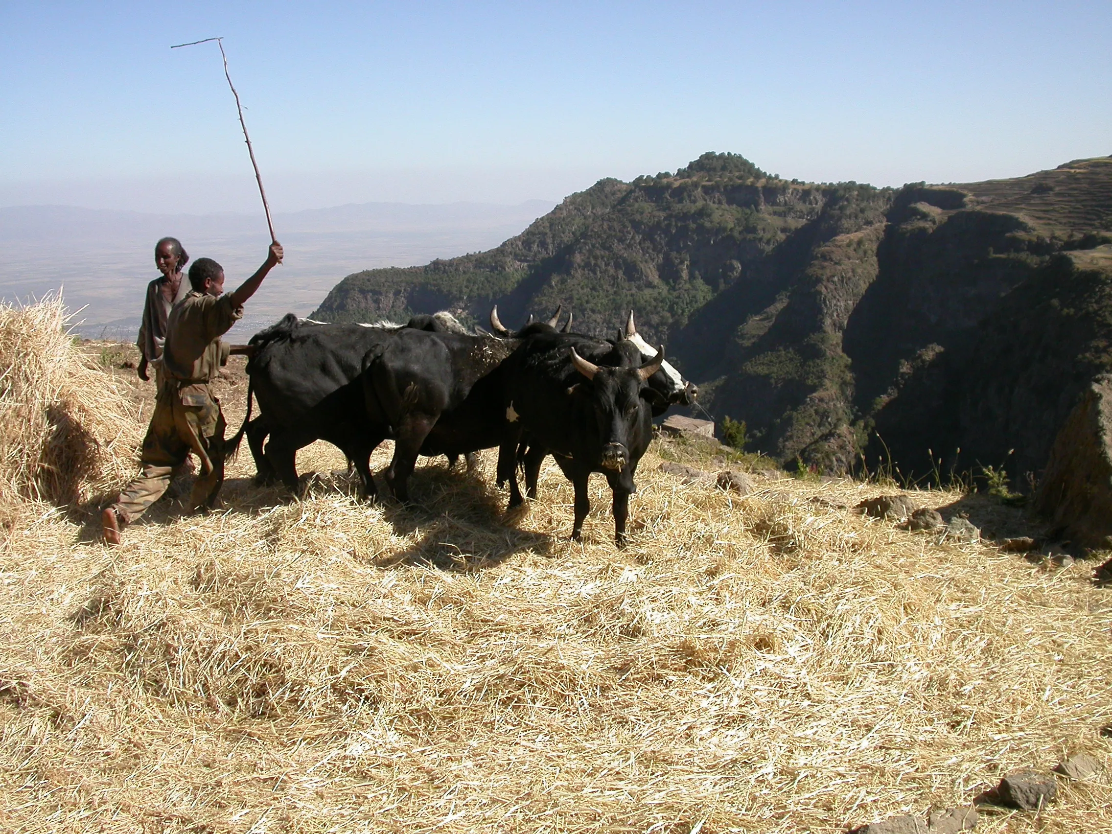 col Alage, Tigray, Ethiopie