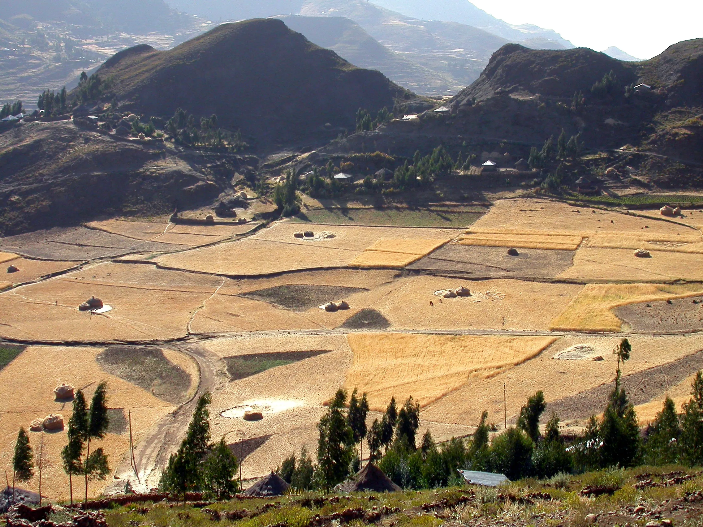 au-dessus de Maychew, Tigray, Ethiopie