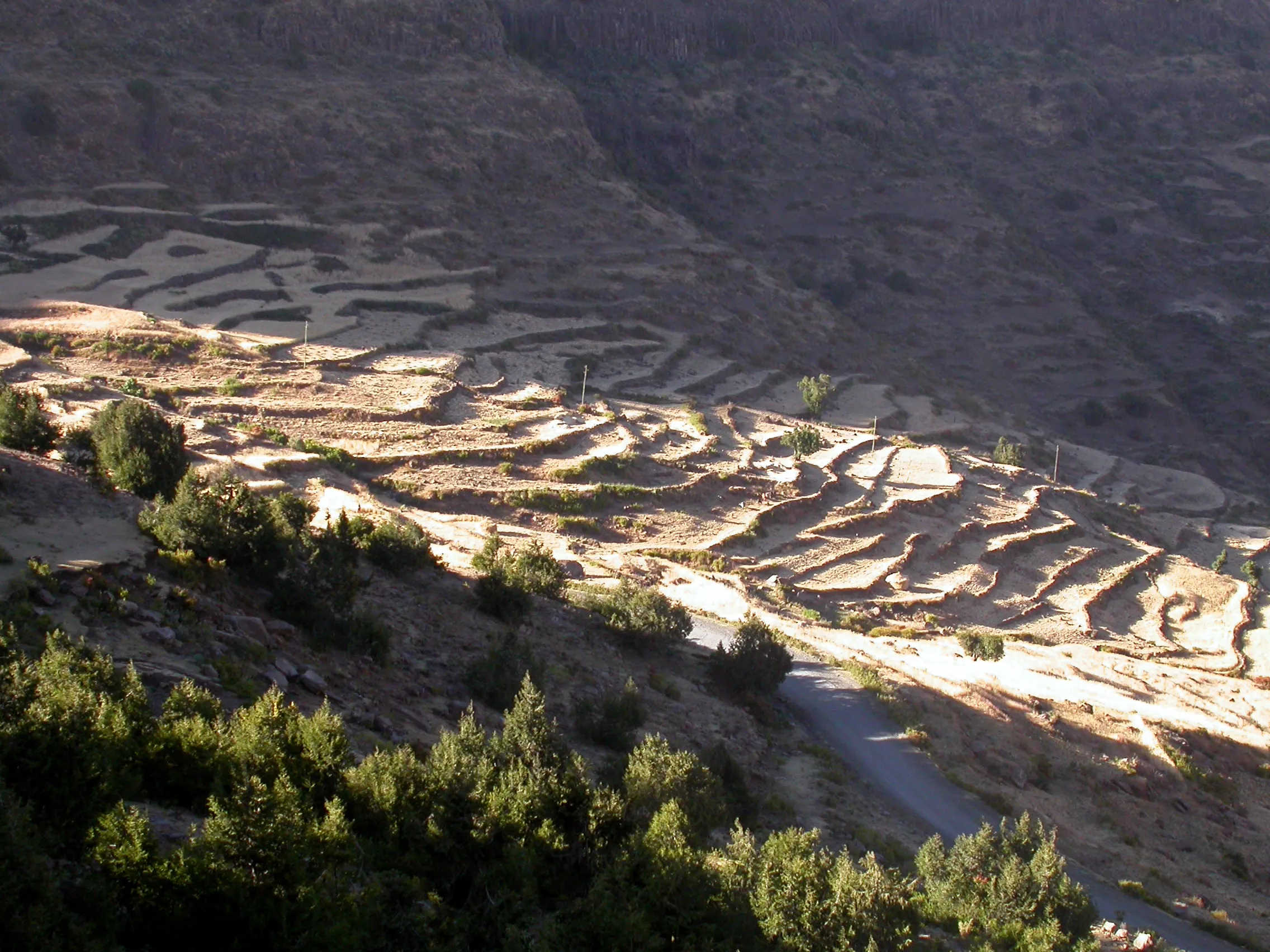 versant Nord du col Alage, Tigray, Ethiopie