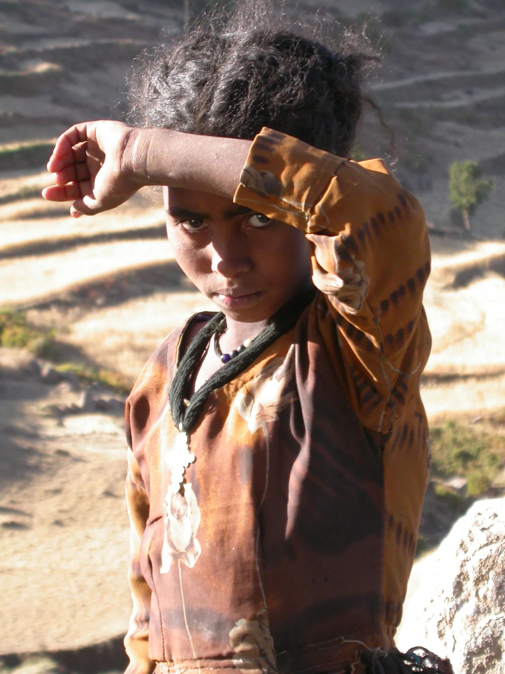 versant Nord du col Alage, Tigray, Ethiopie