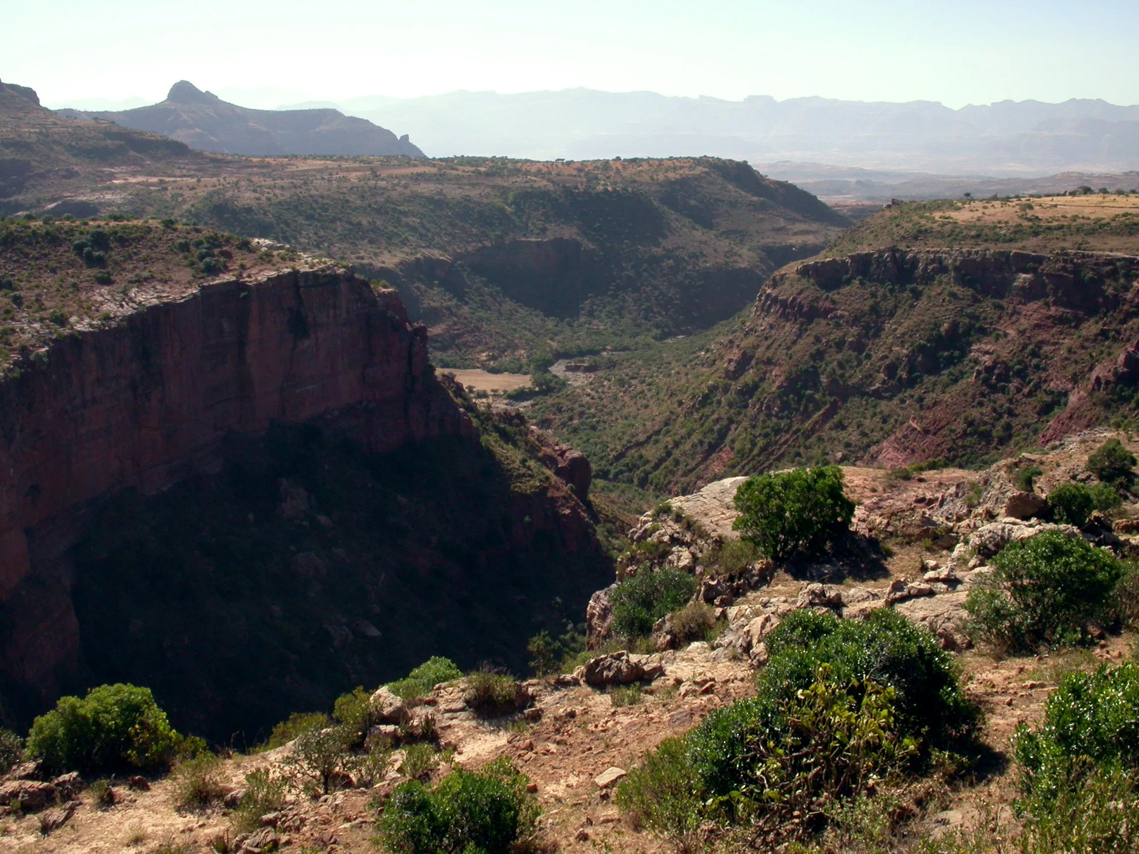 entre Samré et Abergélé, Tigray, Ethiopie