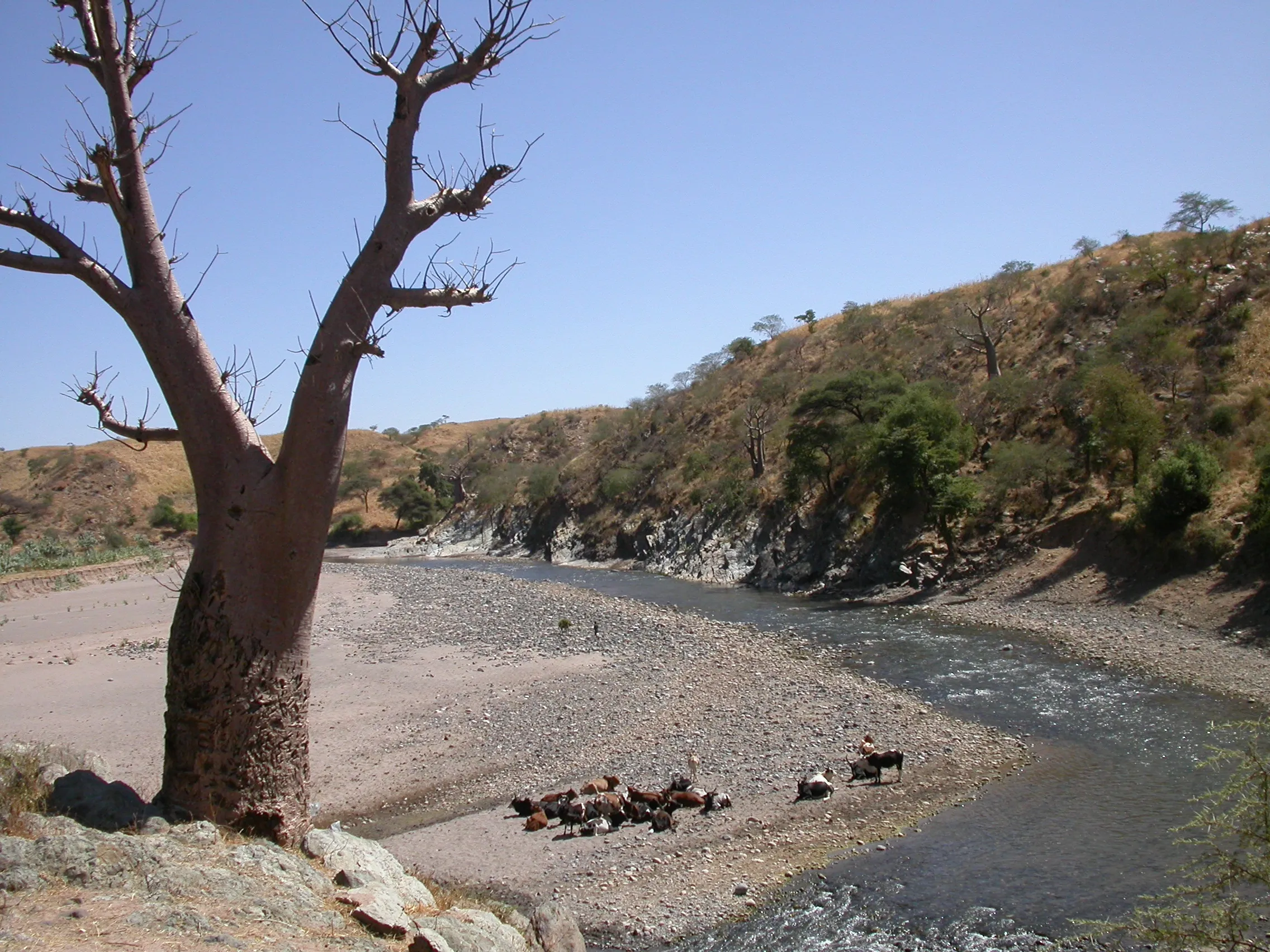vallée du Tirare Shet, Tigray, Ethiopie