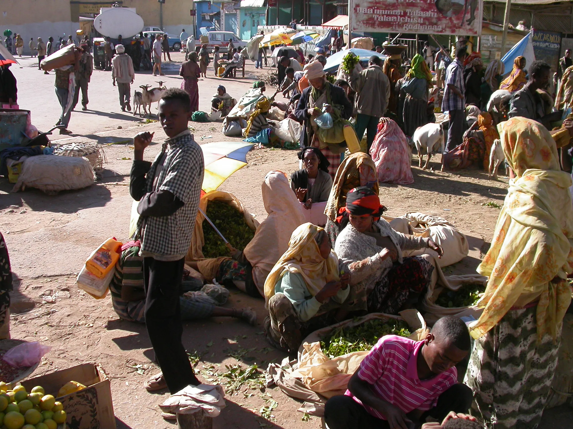 marché de Harar, Ethiopie