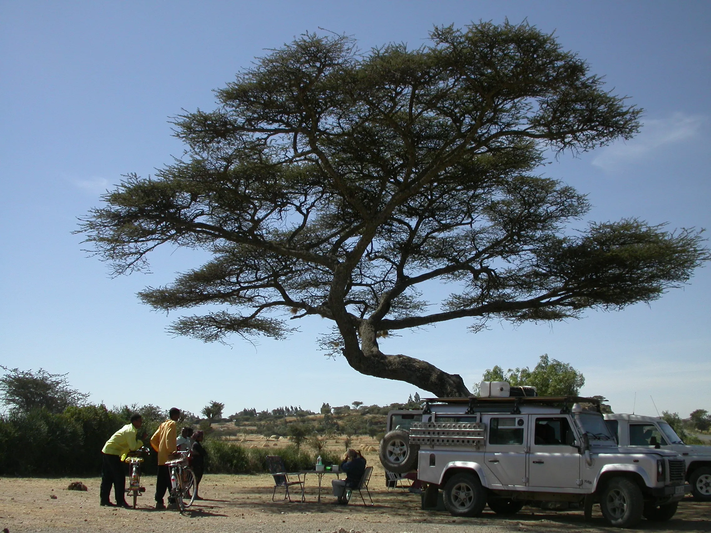 piquenique vers Nazret, Ethiopie