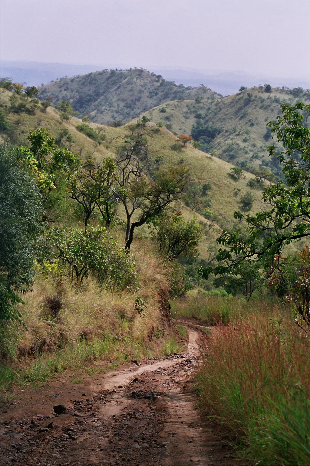 entre Jinka et la valée de l´Omo