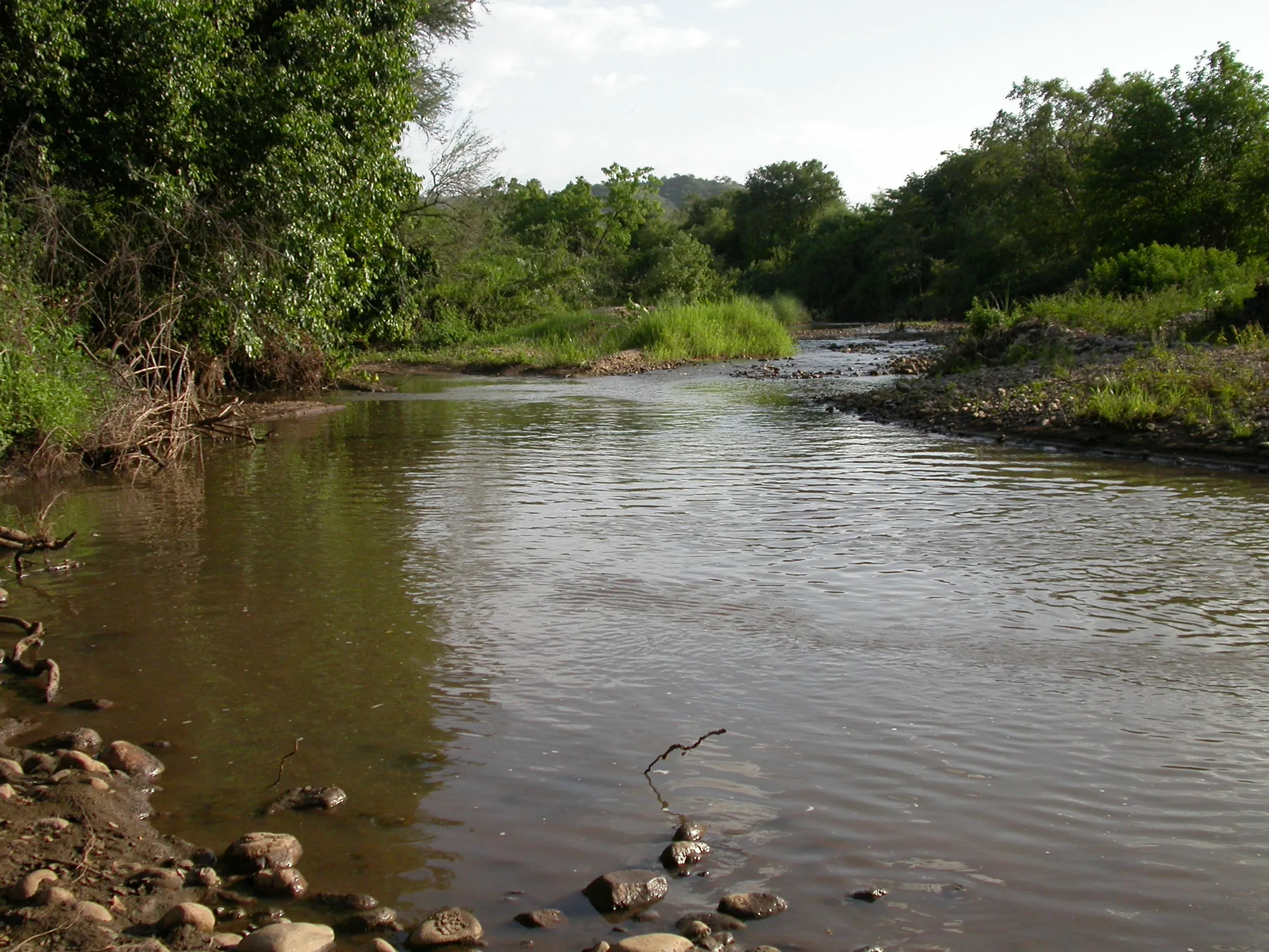 rivière Néri, Mago Park, Ethiopie
