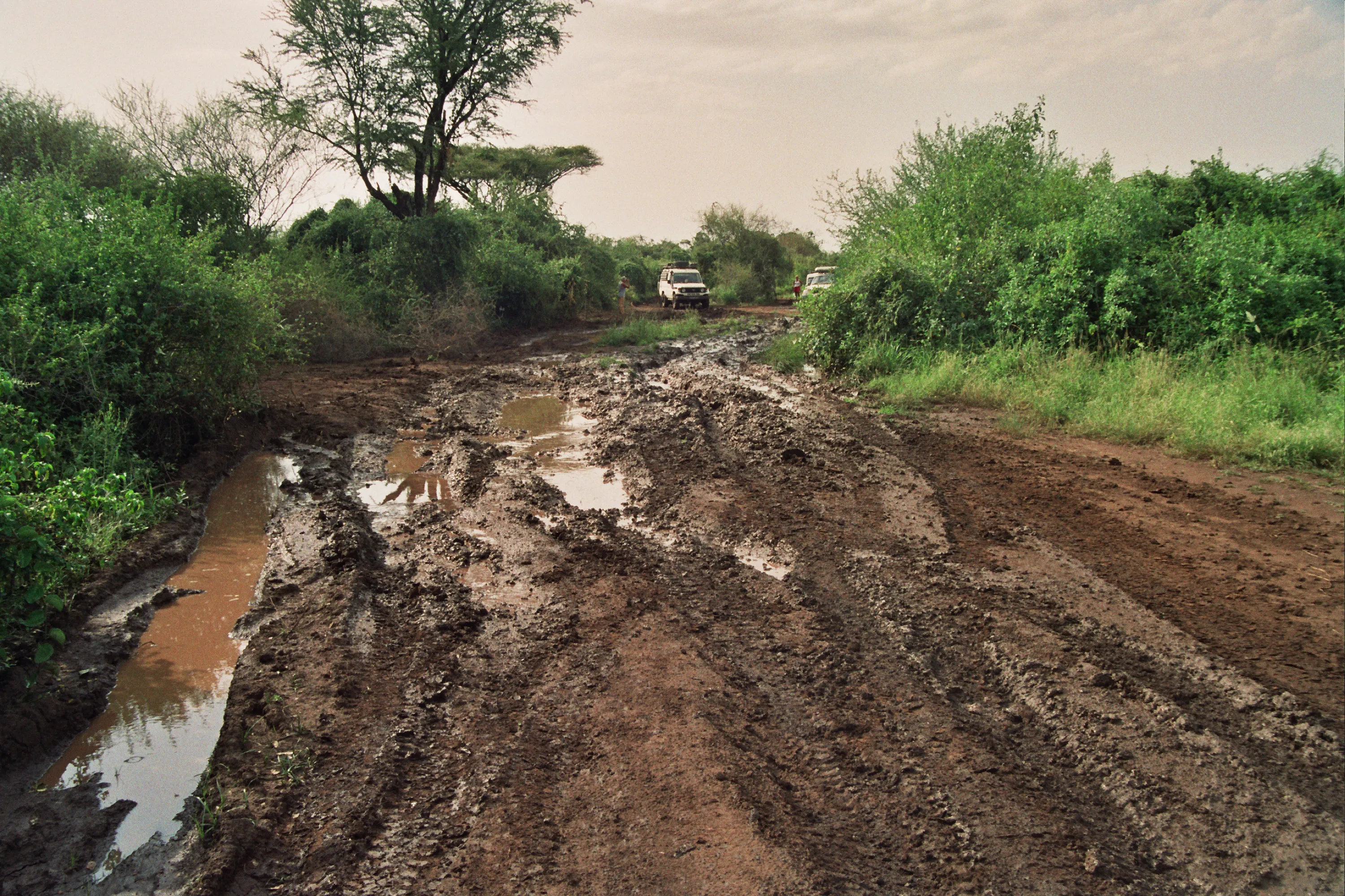 piste des Mursis, Mago park, Ethiopie