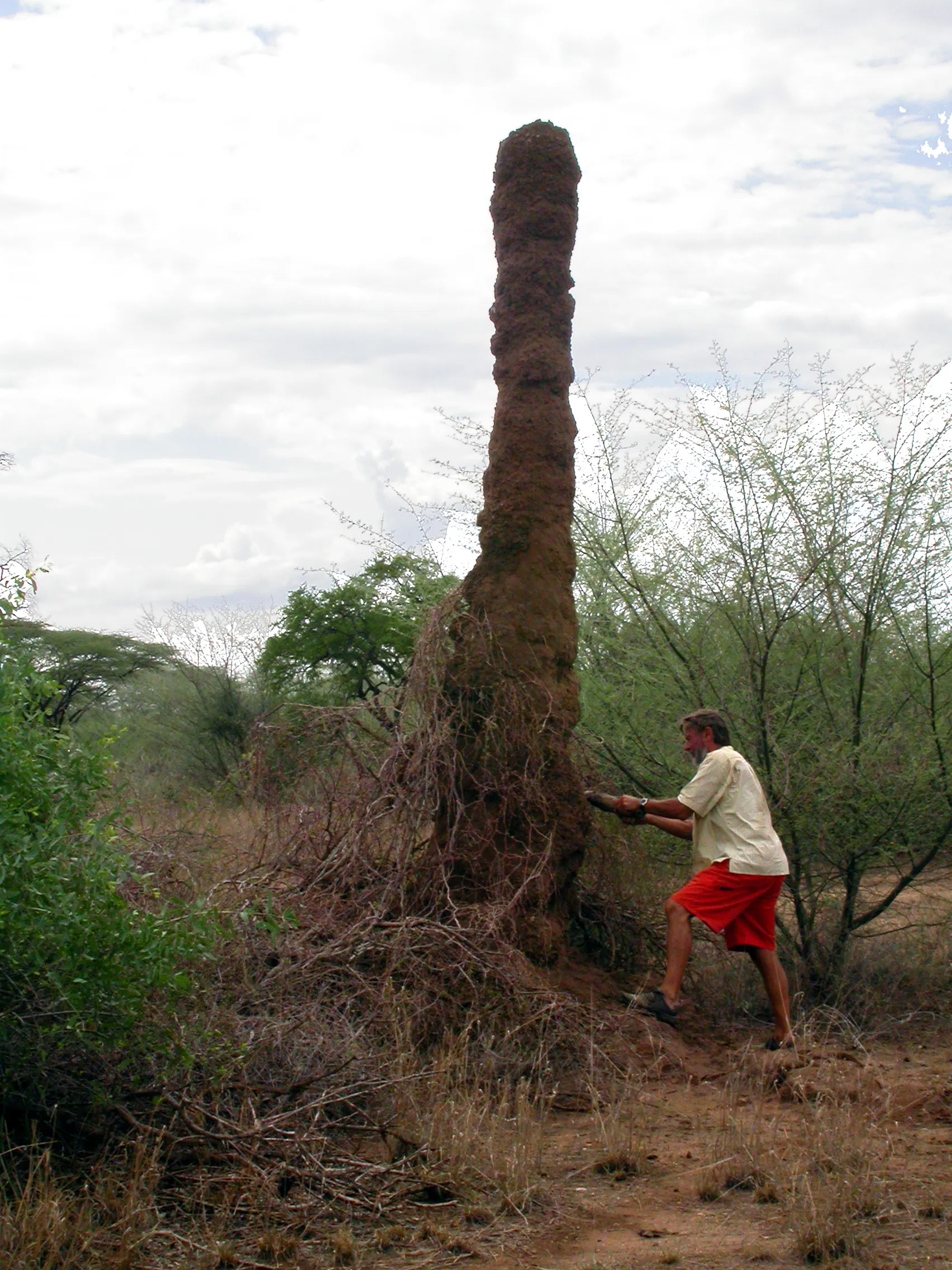 temitière, Omo River, Ethiopie