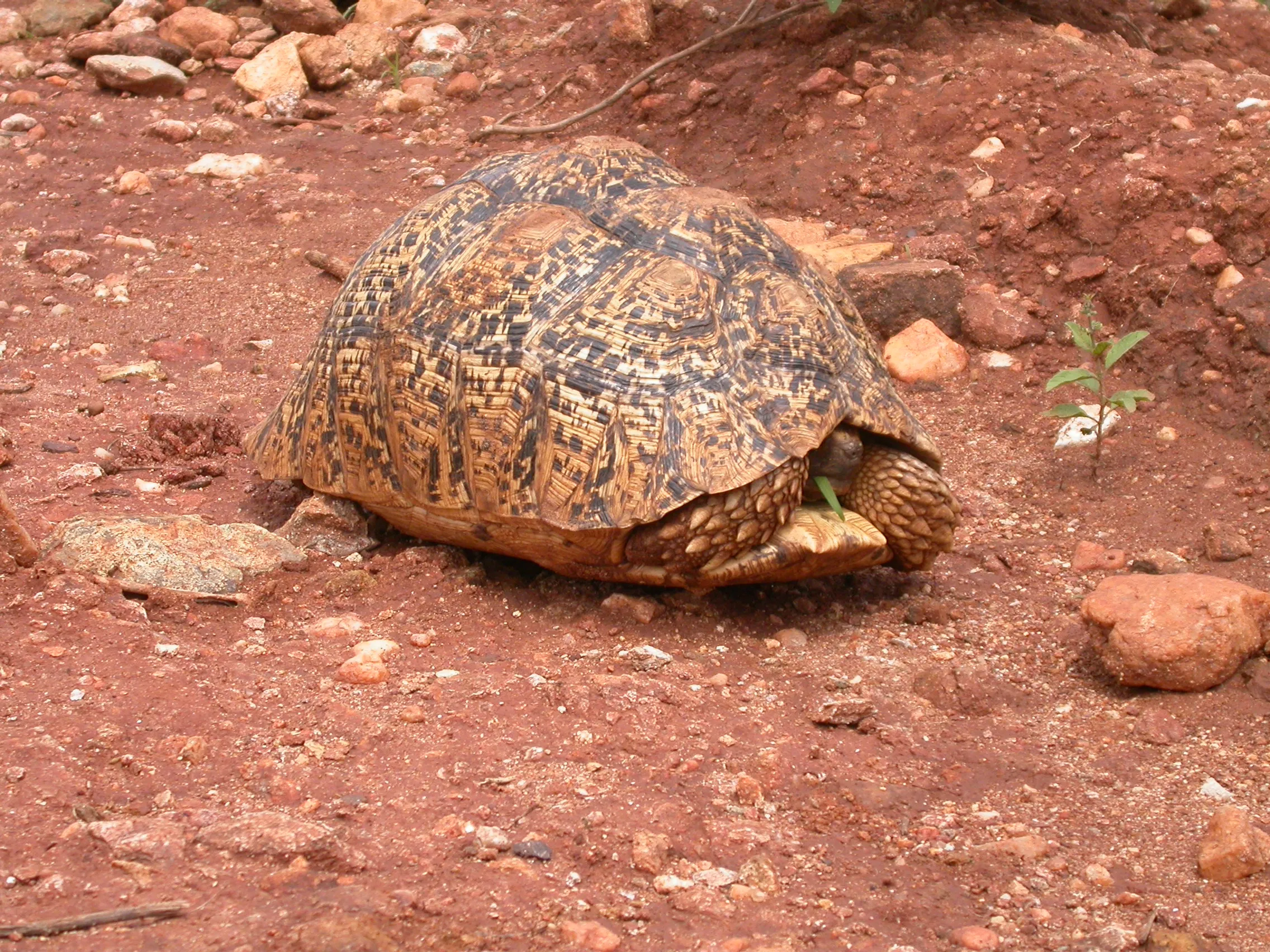 Après Moyale, Kenya