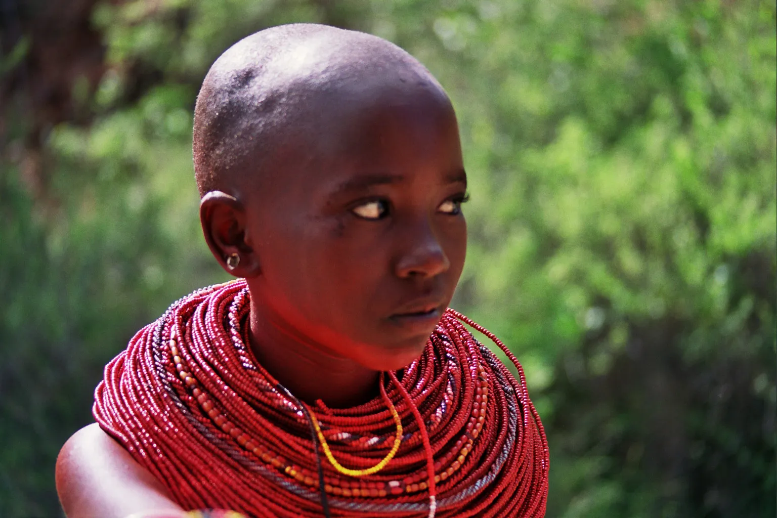 ethnie des Rendilés, Kenya