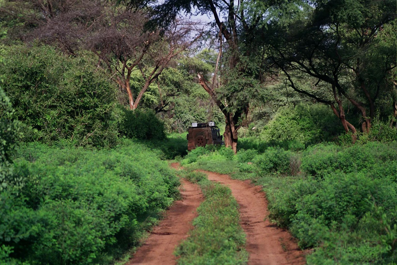 balade au Samburu NP, Kenya
