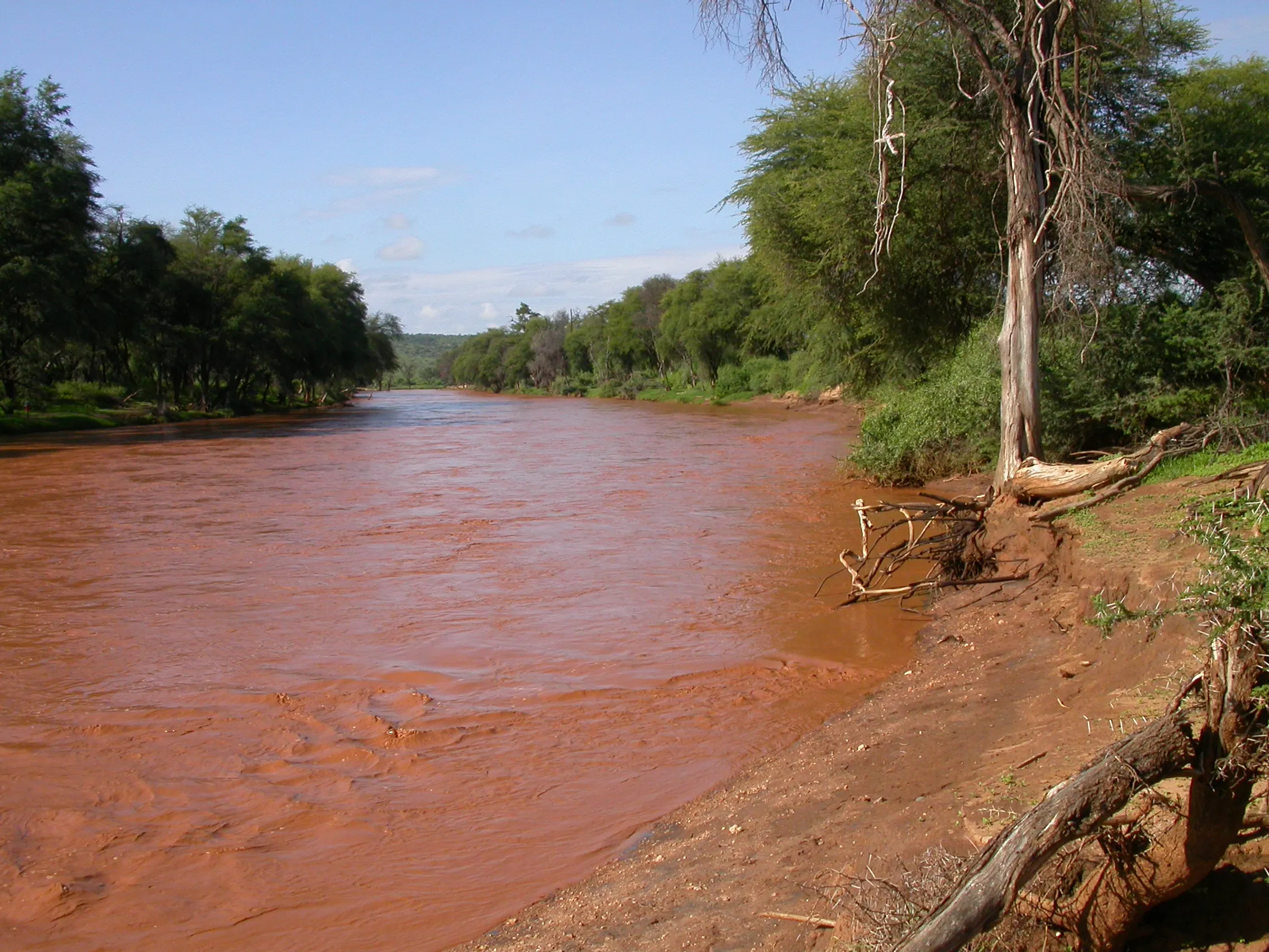Ewaso Ng´iro, Samburu NP, Kenya