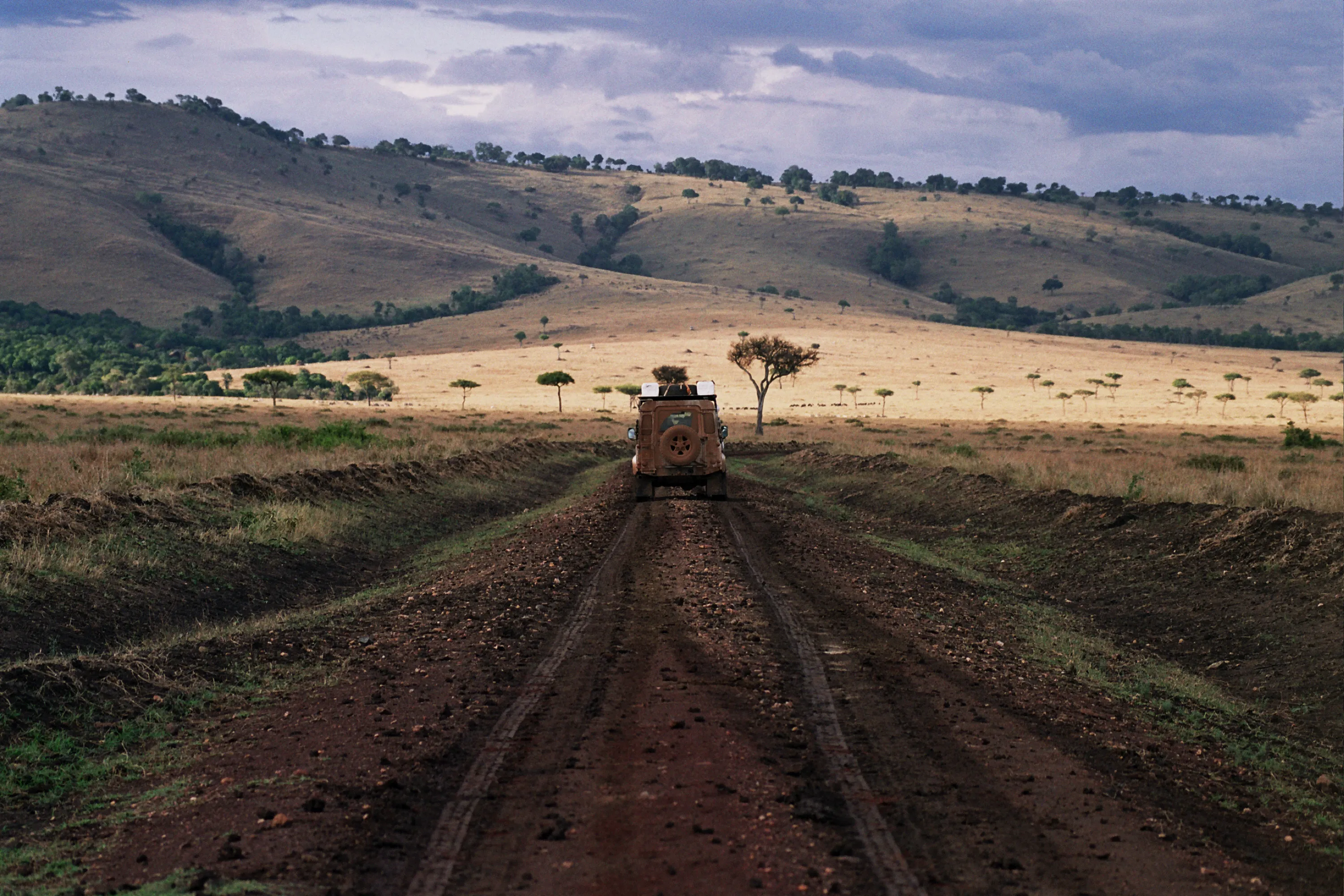 Masaï Mara NP, Kenya