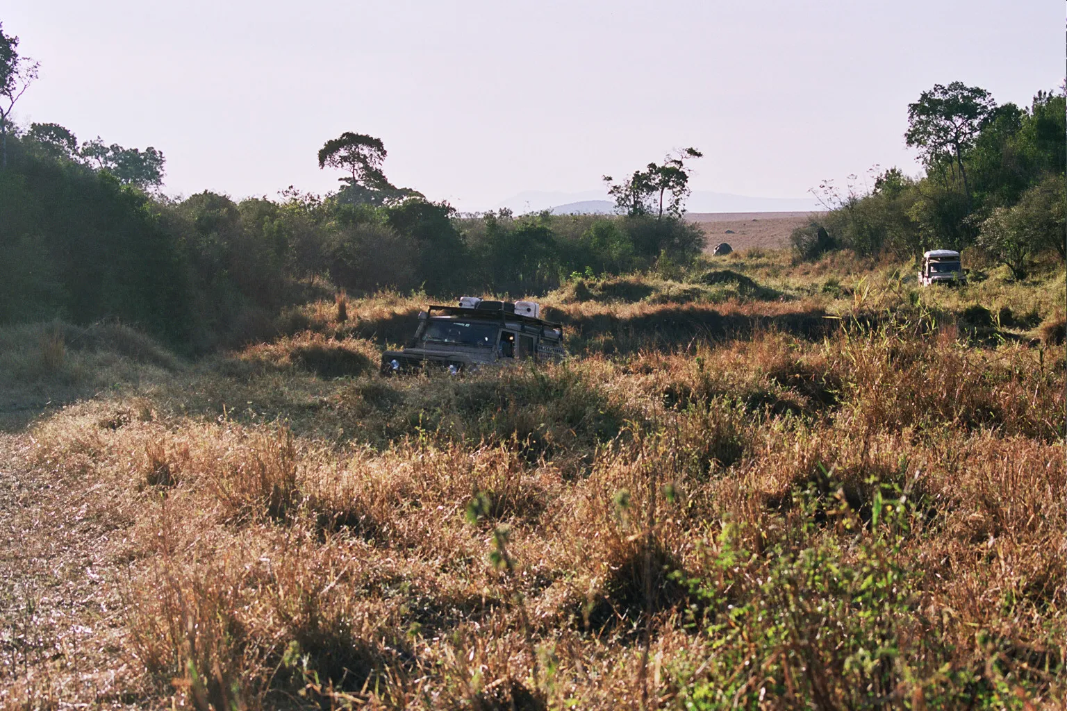 trial au Masaï Mara NP, Kenya
