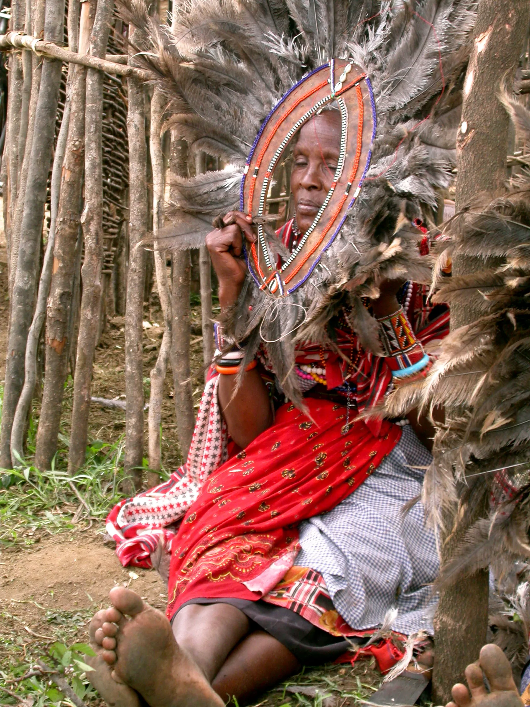crinière du lion, fête des Moranes, Lolgorien, Kenya