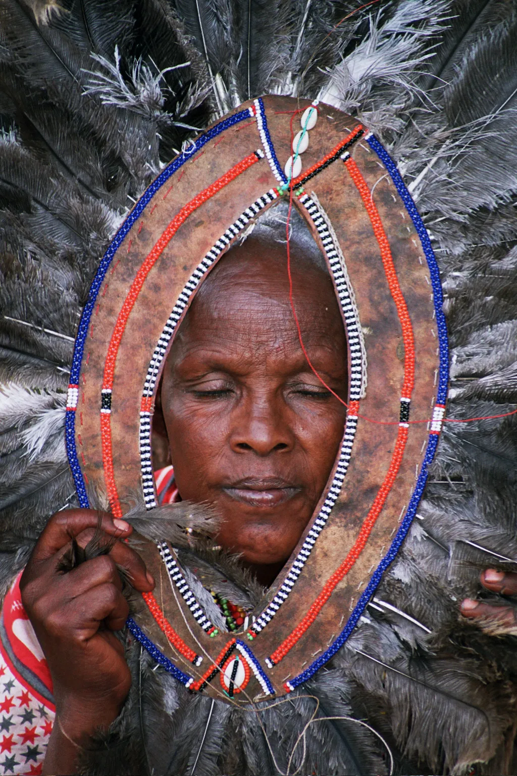 crinière du lion, fête des Moranes, Lolgorien, Kenya