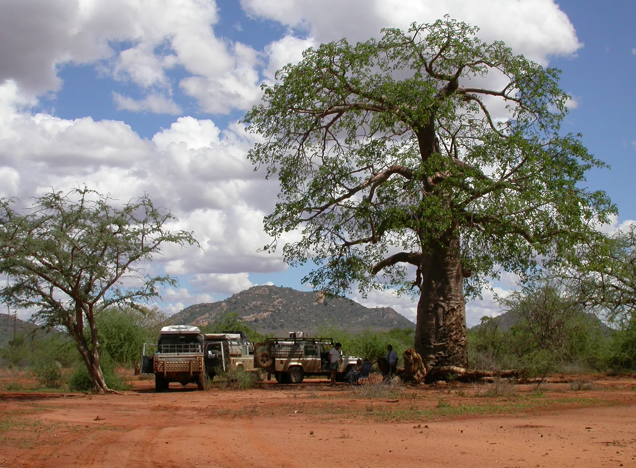 piquenique vers le Tsavo NP, Kenya
